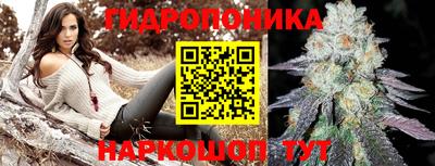 jwh Будённовск