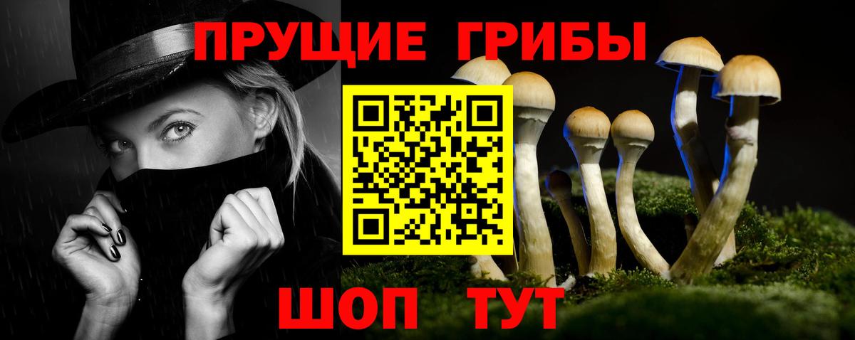 Оренбург  Псилоцибиновые грибы GOLDEN TEACHER  Вход с VPN 